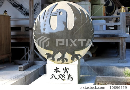 姚宇 姚宇 10896559