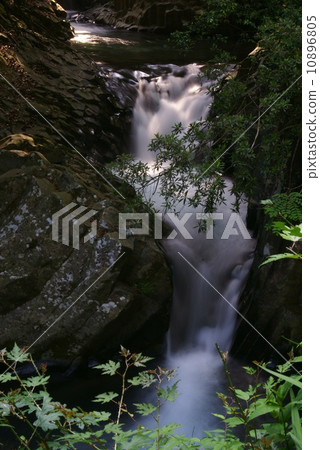 Kawazu Nanakiri會議瀑布 10896805