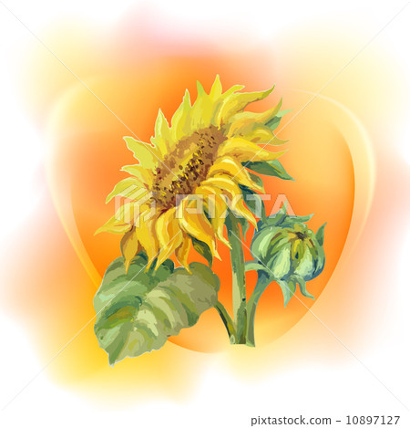 Sunflower background 10897127