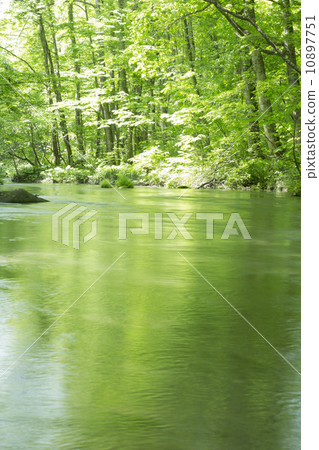 Oirase流 10897751
