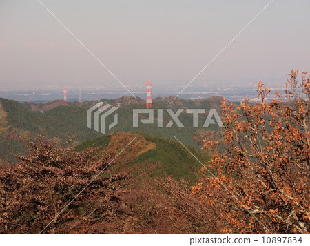 Jinshan autumn leaves 10897834