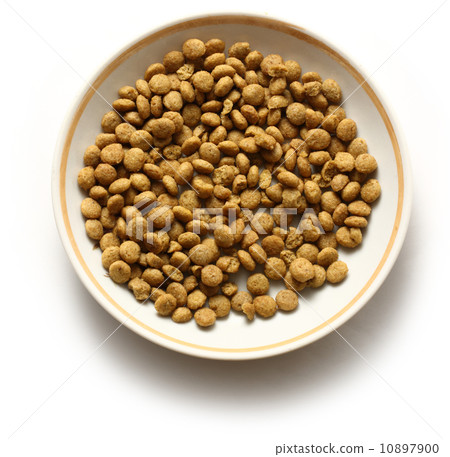 Cat dry food Cat dry food 10897900