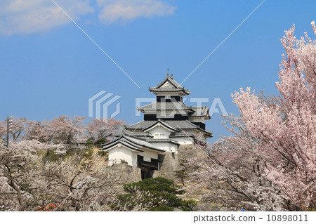 Sakura and Komine Castle Sakura and Komine Castle 10898011