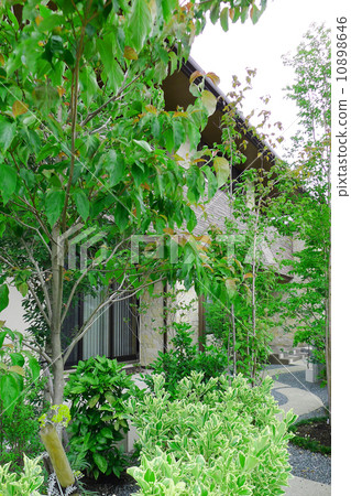 Garden Garden 10898646