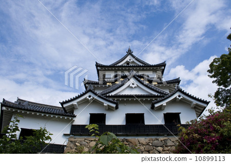 National Treasure Hikone Castle 10899113