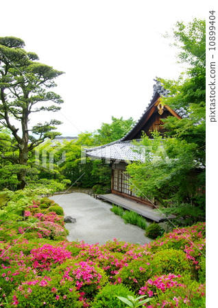 Kinpukuji的小月 Kinpukuji的小月 10899404