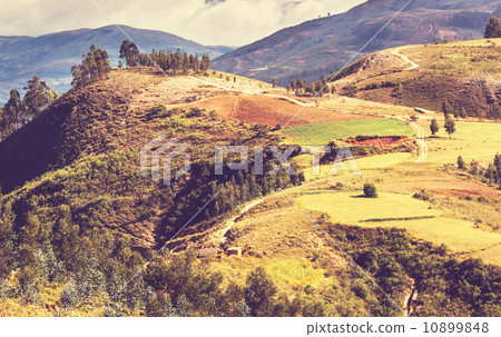 Fields in Bolivia Fields in Bolivia 10899848