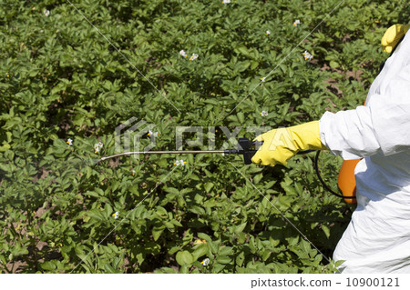 Pesticide spraying 10900121
