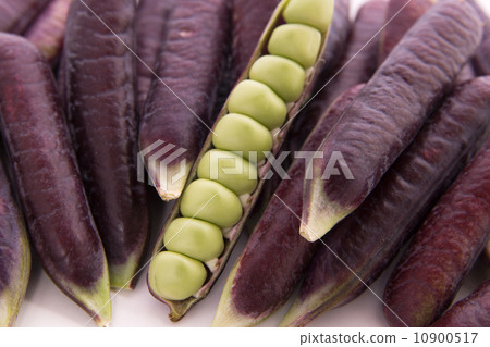 Tutankhamun peas Tutankhamun peas 10900517