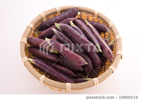 圖坦卡蒙豌豆 圖坦卡蒙豌豆 10900519