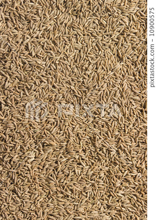 Spices zira background Spices zira background 10900575