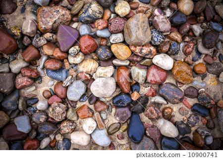 Baltic sea stones and pebbles background. 10900741