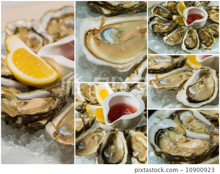 Collageof  platter of fresh organic raw oysters on ice 10900923
