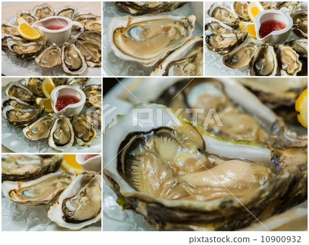 Collageof  platter of fresh organic raw oysters on ice 10900932