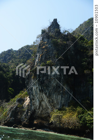 Singapore Singapore 10901503