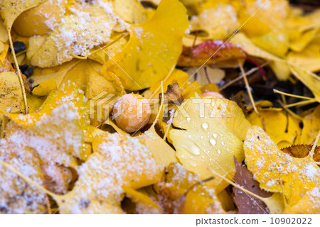 秋冬邊界 10902022