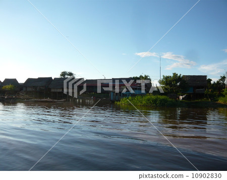 The Amazon River 10902830