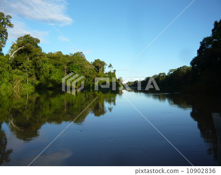 Reflecting the Amazon River 10902836