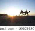 Moon's desert 10903480
