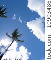Hawaii 10903486