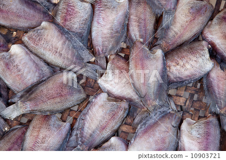 Salid Fish for sale in market ,Thailand 10903721