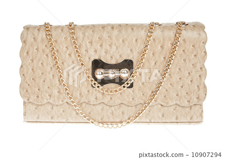 Brown leather bag, ostrich skin isolated on white Brown leather bag, ostrich skin isolated on white 10907294