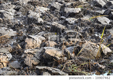 wet brown soil wet brown soil 10907462