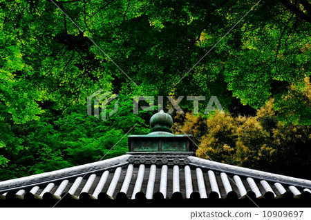 Tile roof Tile roof 10909697