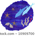 Dolphin 10909700
