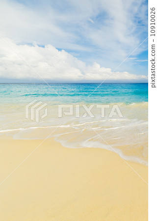 tropical beach tropical beach 10910026