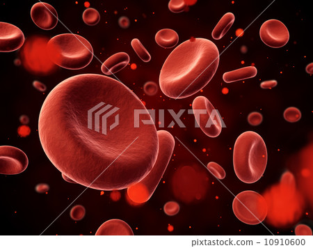 Erythrocyte Erythrocyte 10910600