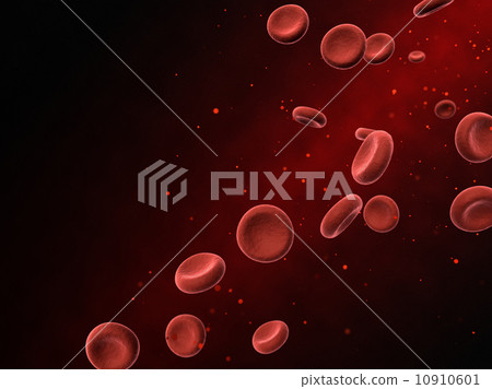 Erythrocyte Erythrocyte 10910601
