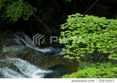 志摩溫泉_坑洞03 志摩溫泉_坑洞03 10910933