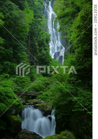 Fresh green and Kamiwa Falls 10911038