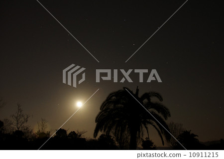 Moon and Starry Sky 10911215