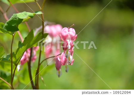 Tightspeare Tightspeare 10912094