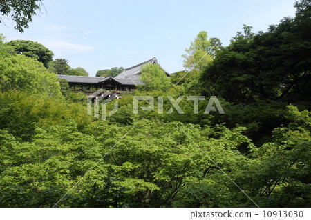 京都東福寺洗球 京都東福寺洗球 10913030