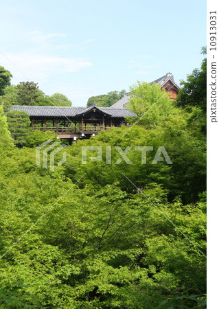 Kyoto Tofukuji Wash Ball Kyoto Tofukuji Wash Ball 10913031