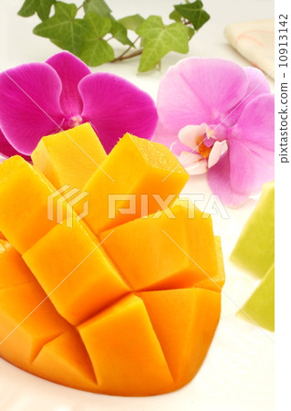 Mango melon cut fruit fruit white background 10913142