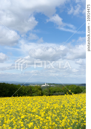 Bohemian landscape Bohemian landscape 10914475