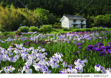 Kamo虹膜河花園 Kamo虹膜河花園 10915127