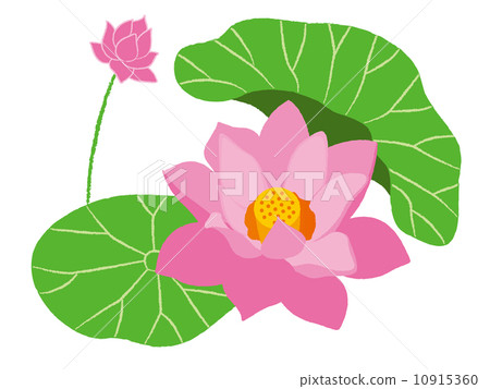 葬禮/佛教插圖_蓮花 10915360