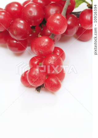 Rurling (Yusura) Rurling (Yusura) 10916394