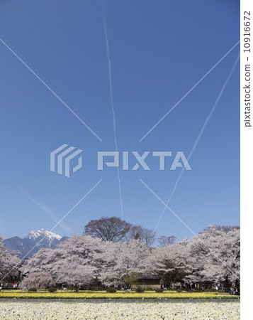 Sayaka Yamakuchi Sayaka Yamakuchi 10916672