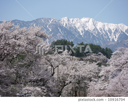 Sayaka Yamakuchi Sayaka Yamakuchi 10916704