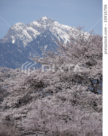 Sayaka Yamakuchi Sayaka Yamakuchi 10916706