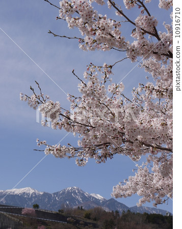 Sayaka Yamakuchi Sayaka Yamakuchi 10916710