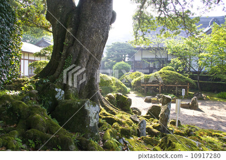 標籤樹Komoda寺[秋田縣] 10917280