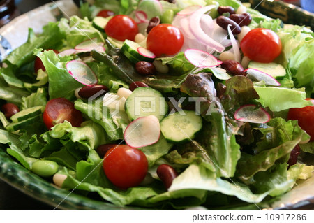 蔬菜沙拉	 10917286