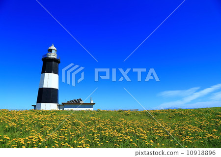 Nogi Cape燈塔 10918896